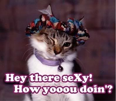 Hey-sexy-how-you-doin