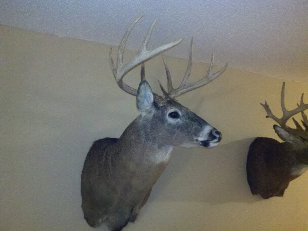 2011-06-05_20-46-01_680.jpg
