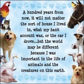 animals.jpg animals picture by JOLYNNANDRICHARD