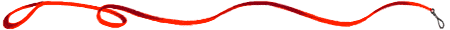 redleash.gif picture by JOLYNNANDRICHARD