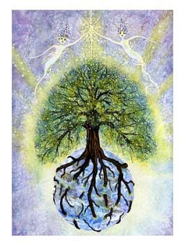 The Healing Tree Pictures, Images and Photos
