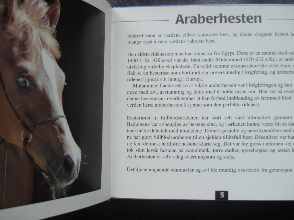 ARABERHESTEN Arabian Horses in Norwegian Book Norsk for children, kids 