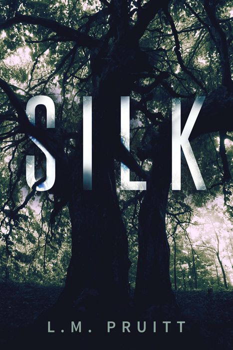 Silk by LM Pruitt