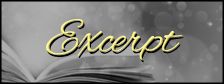 excerpt banner