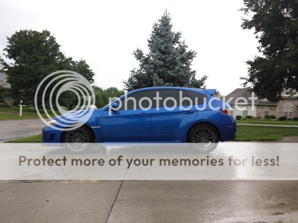 Show me your tint! - Page 28 - NASIOC