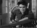 709654908_m.gif
