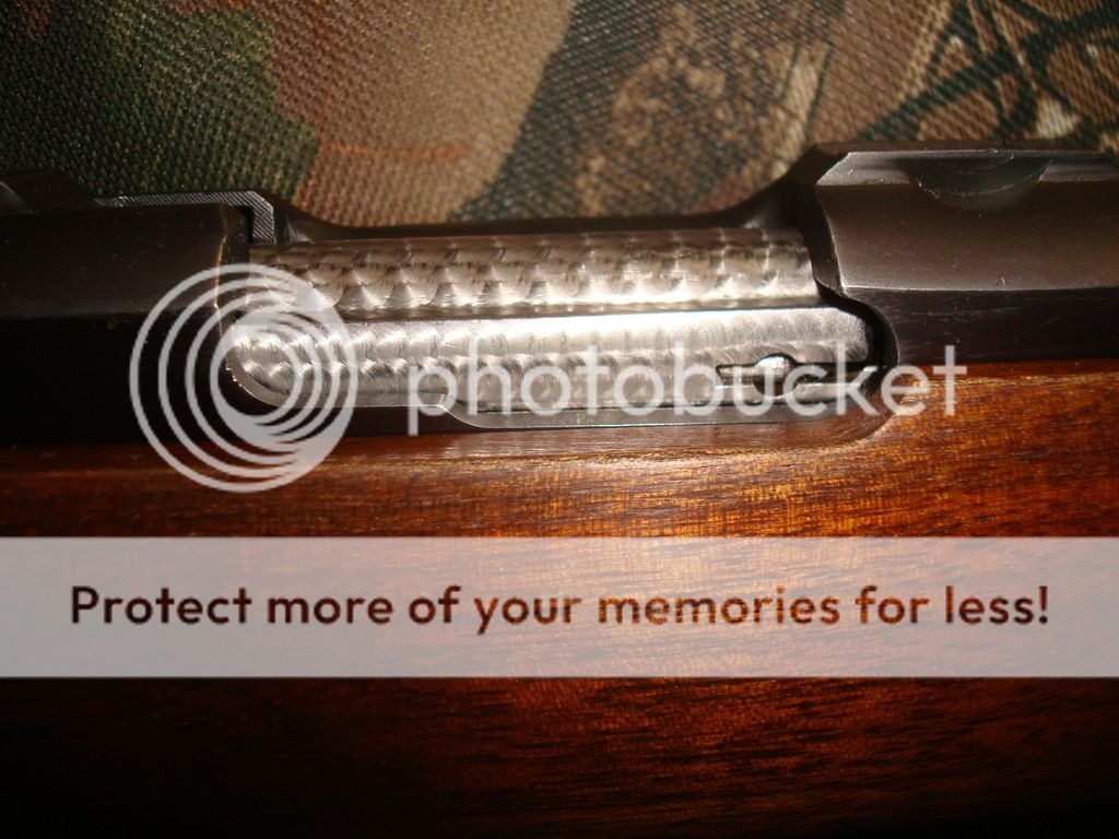 Bolt Jeweling Rimfire Central Firearm Forum