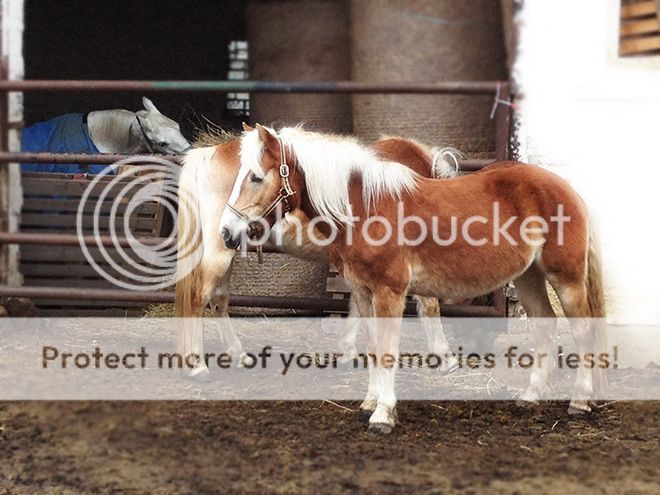  photo biena-sasy_zps59cbc36a.jpg