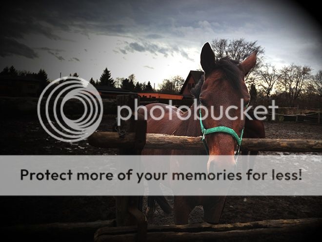  photo reiten-leipzig_zpsa783e20c.jpg